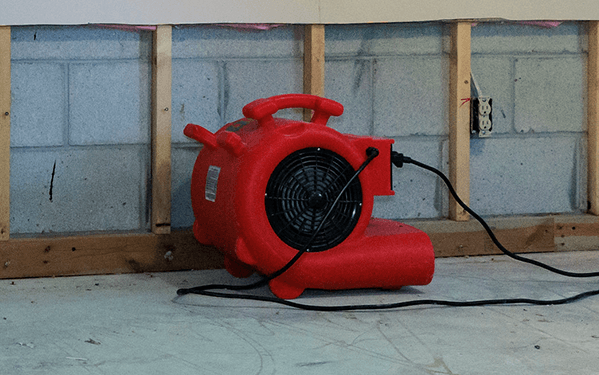 Commercial blower