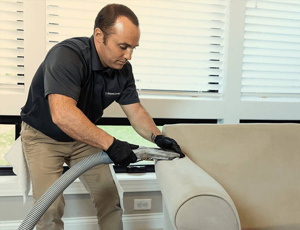 Green Clean team member cleaning upholstery